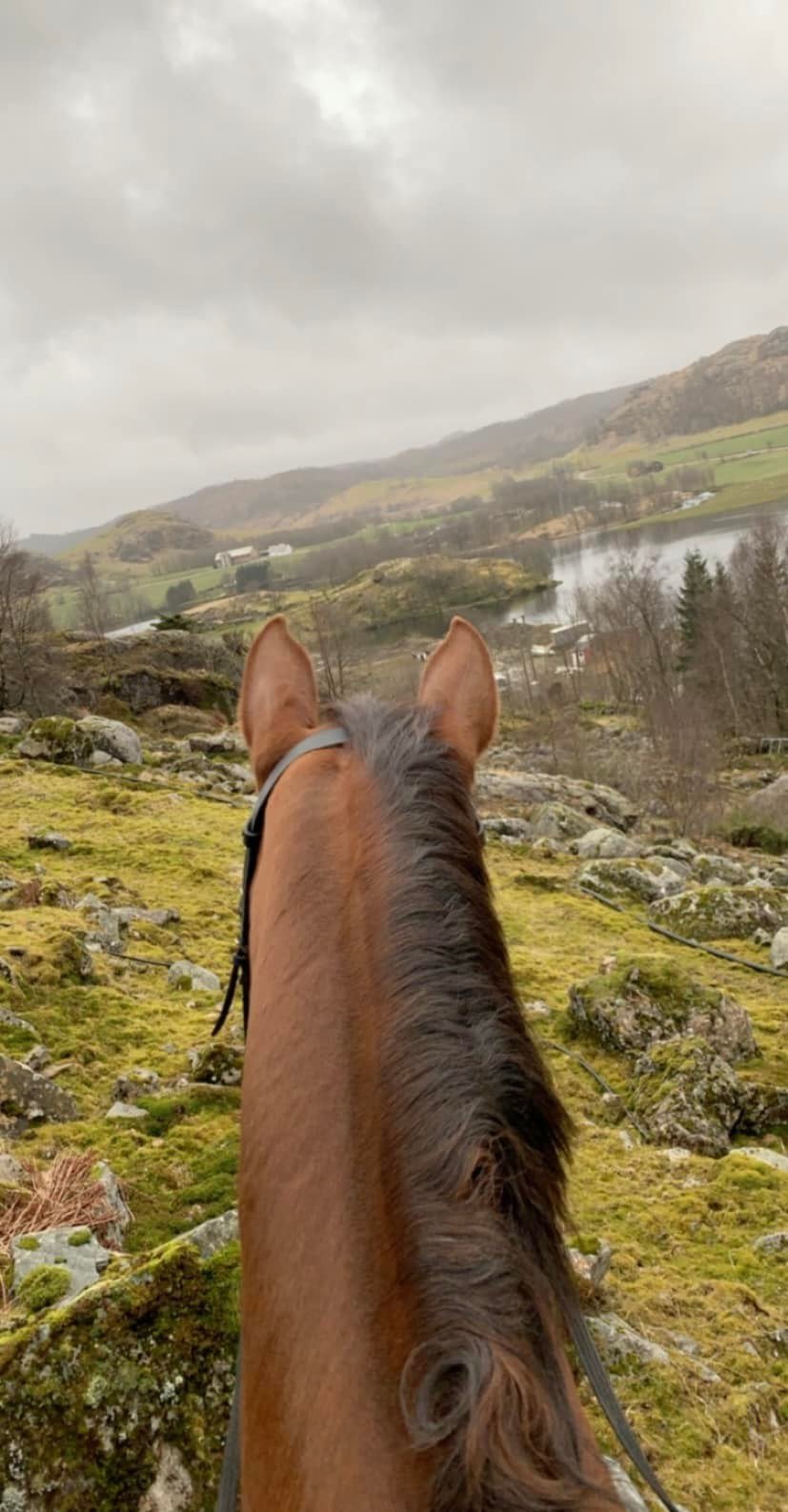 270238969_10158225171841128_153473366383116477_n